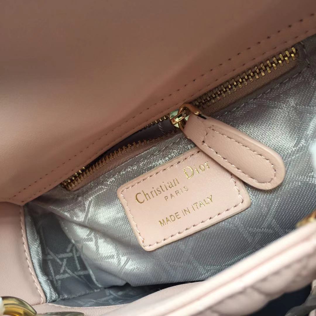 디올 레이디백