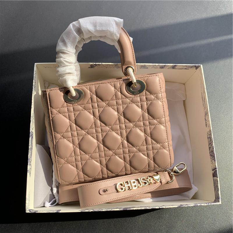 디올 레이디백