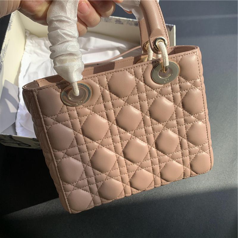 디올 레이디백