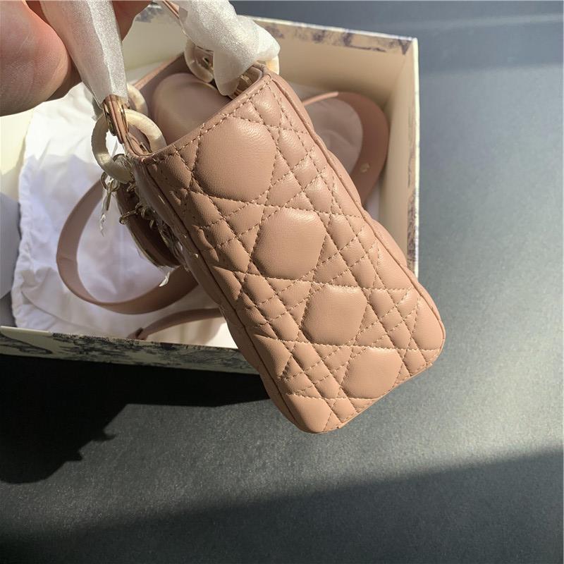 디올 레이디백