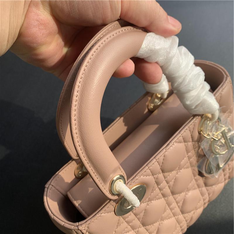 디올 레이디백