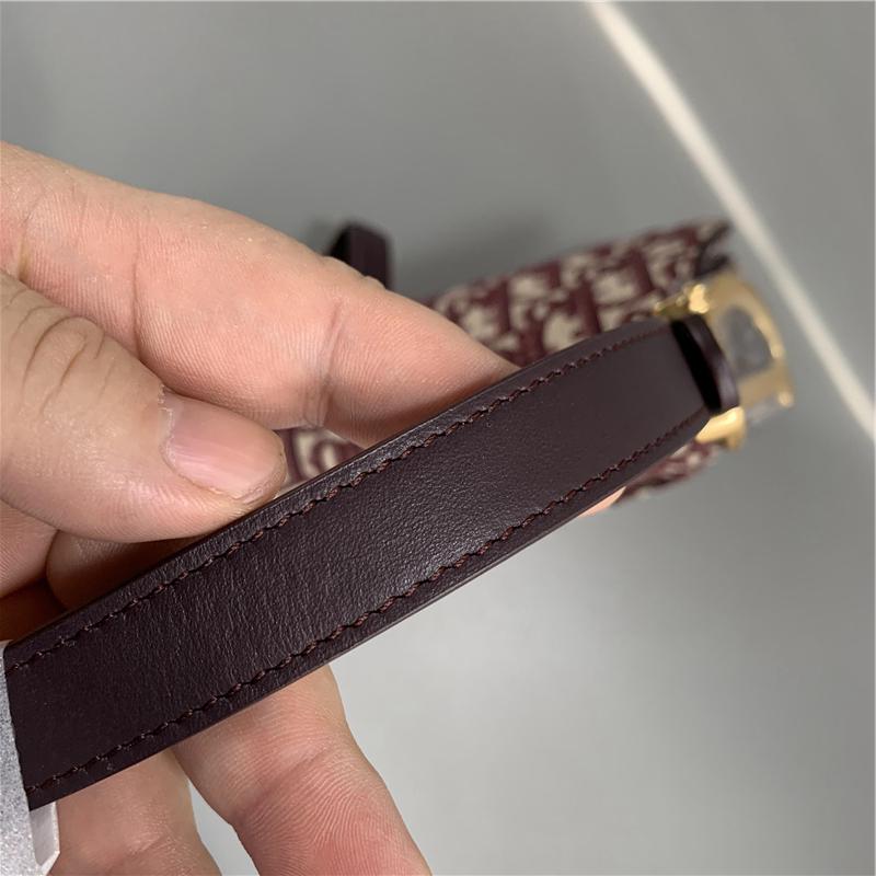 디올 새들백 스몰_20cm