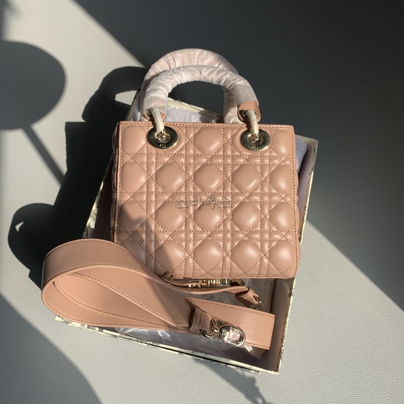 디올 레이디백 스몰 20cm