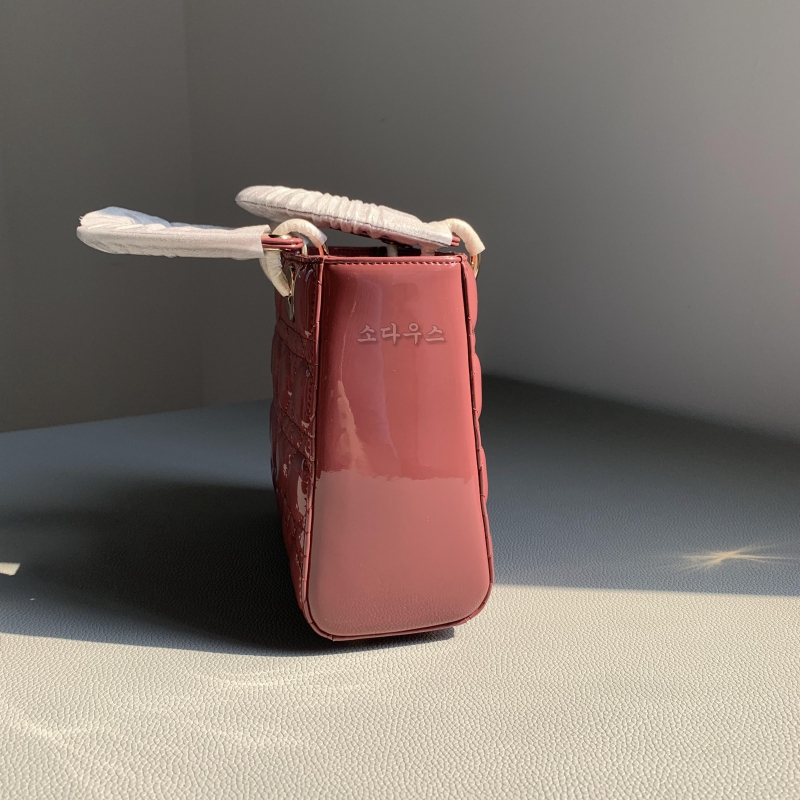 디올 레이디백 스몰_20cm