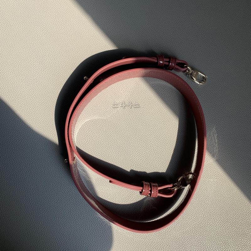 디올 레이디백 스몰_20cm