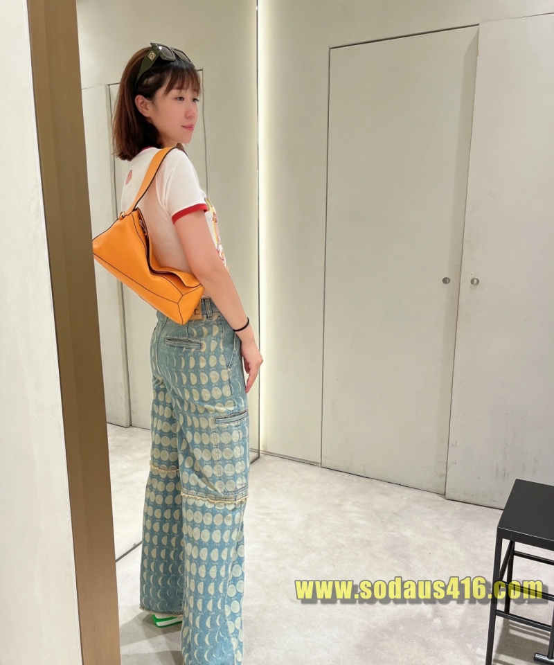 로에베 퍼즐 호보백