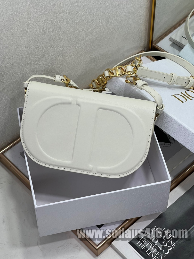디올 카메라 백