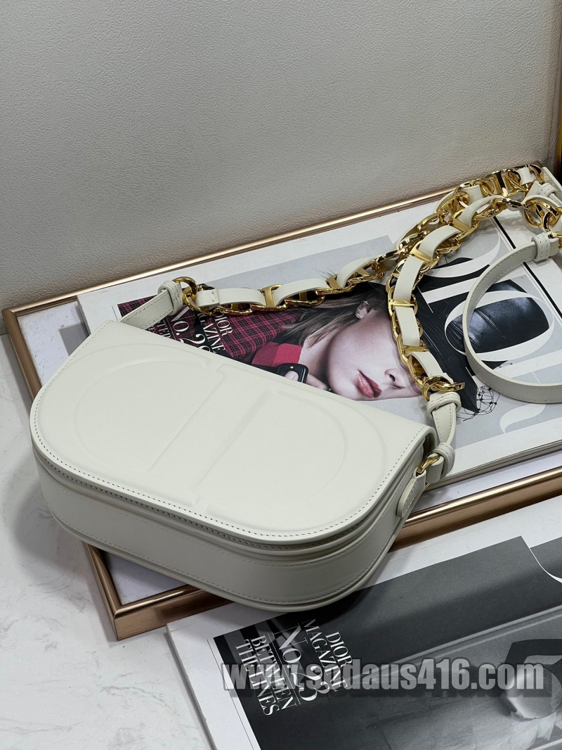 디올 카메라 백