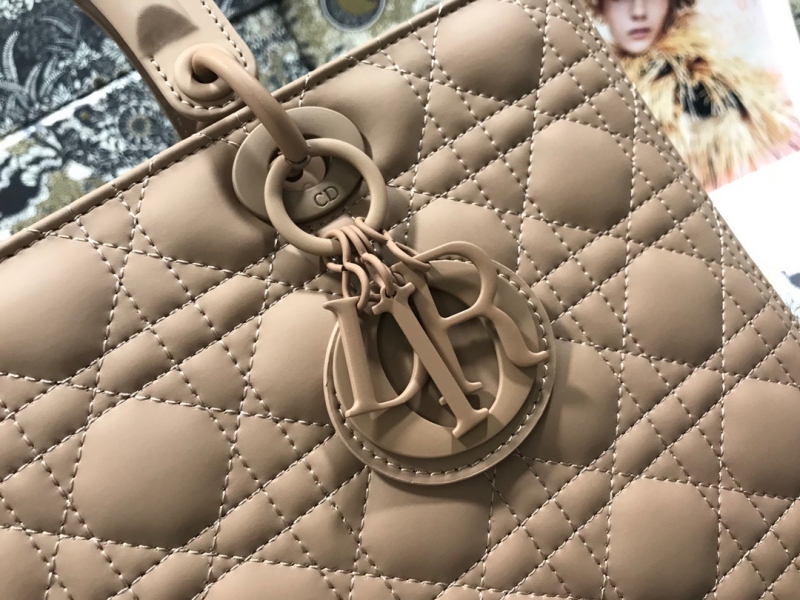디올 레이디백 라지