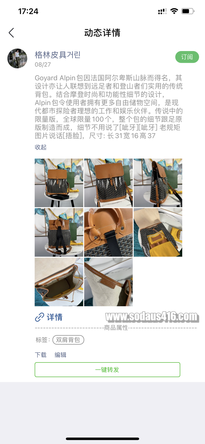 고야드 알팡 백팩