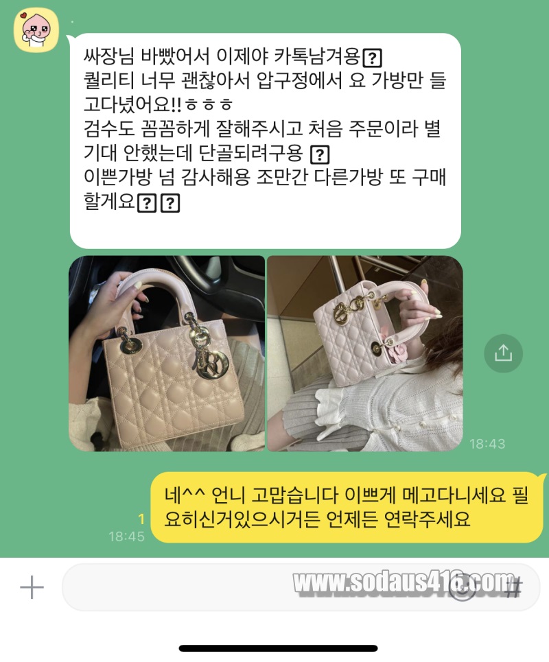 디올 레이디백 후기