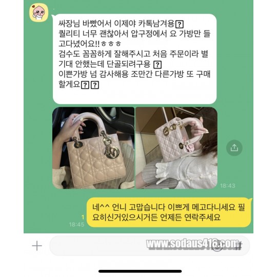 디올 레이디백 후기