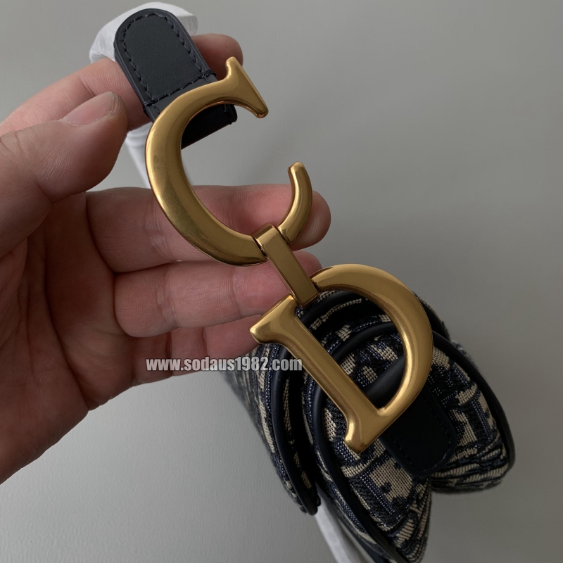 디올 오블리크 새들백