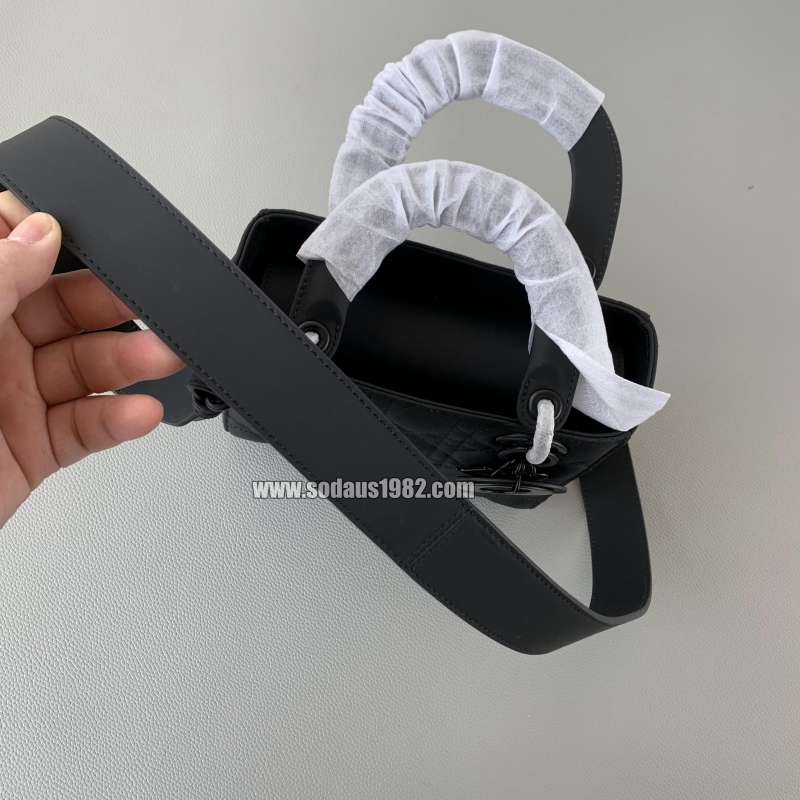 디올 레이디백 매트